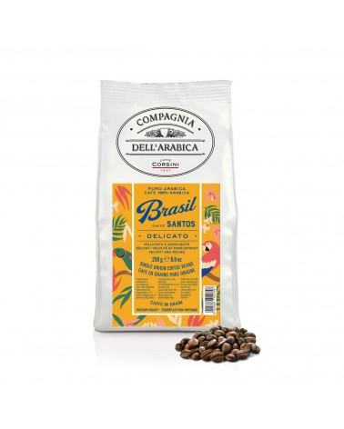 BRASILE SANTOS COFFEE BEANS | 100% ARABICA 250 gr.