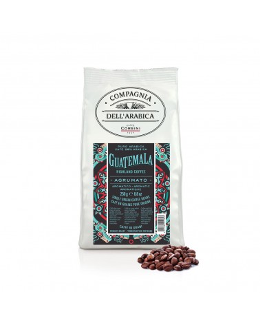 CAFÉ EN GRAIN  |GUATEMALA  | 100% ARABICA | 250 gr.